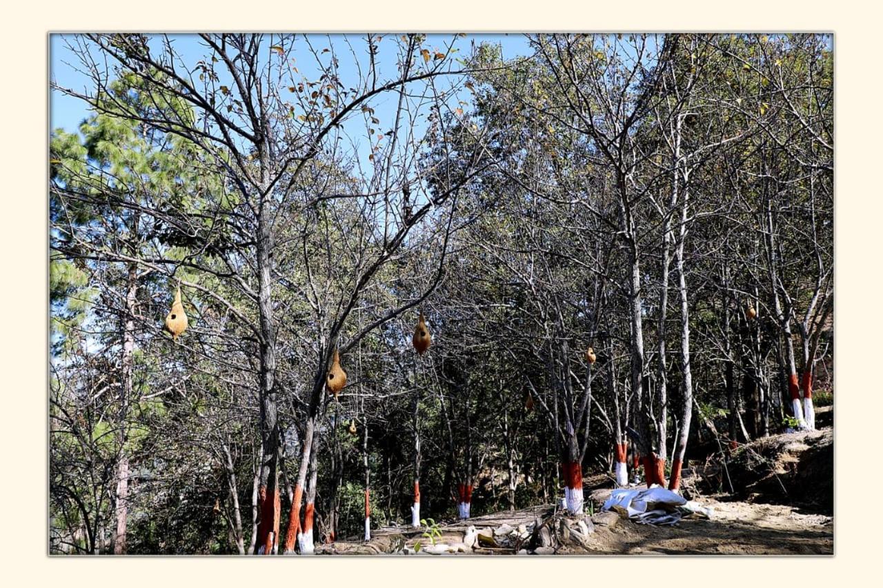 The Ranikhet Continental Hotel Luaran gambar