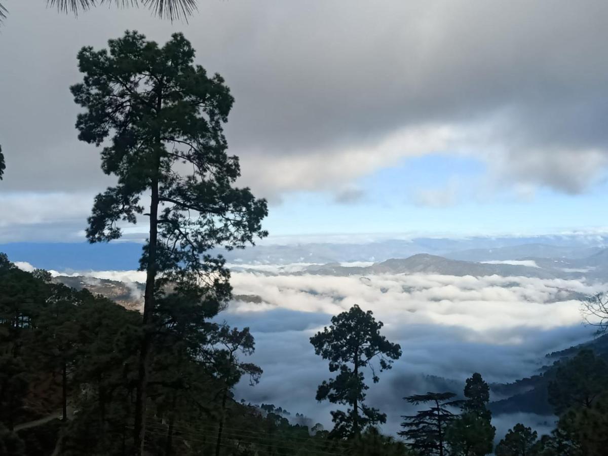 The Ranikhet Continental Hotel Luaran gambar