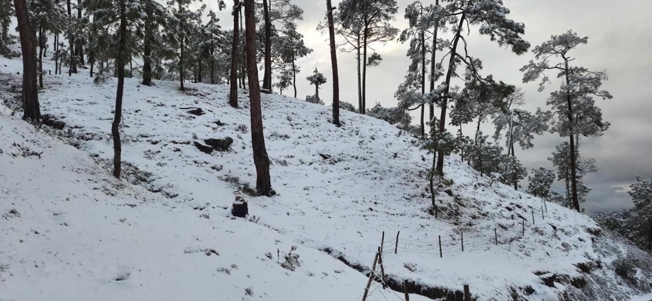 The Ranikhet Continental Hotel Luaran gambar