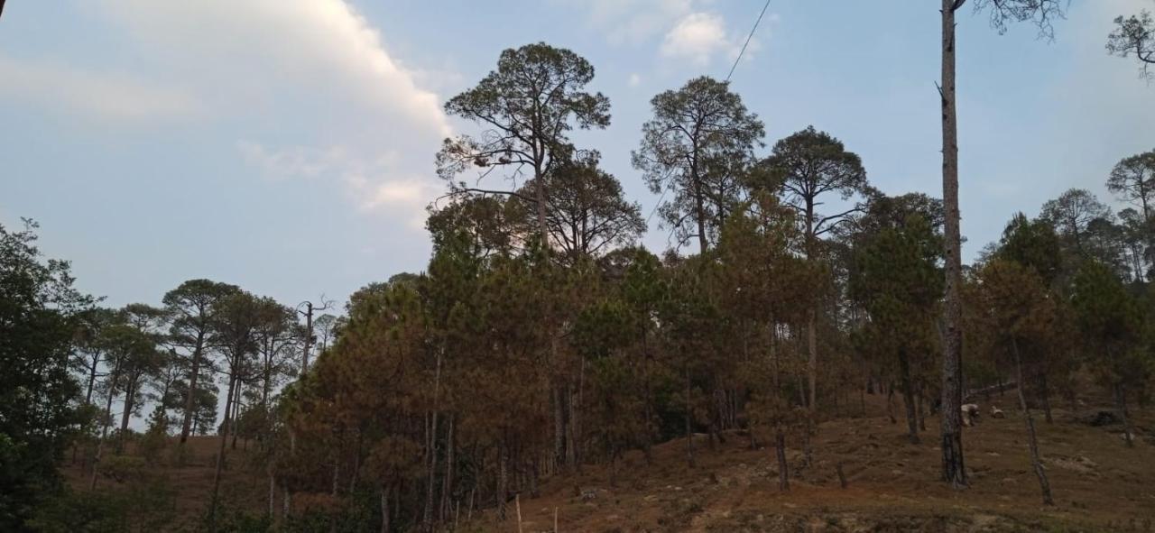 The Ranikhet Continental Hotel Luaran gambar